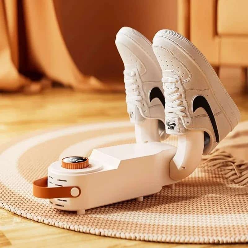 Electric shoe dryer